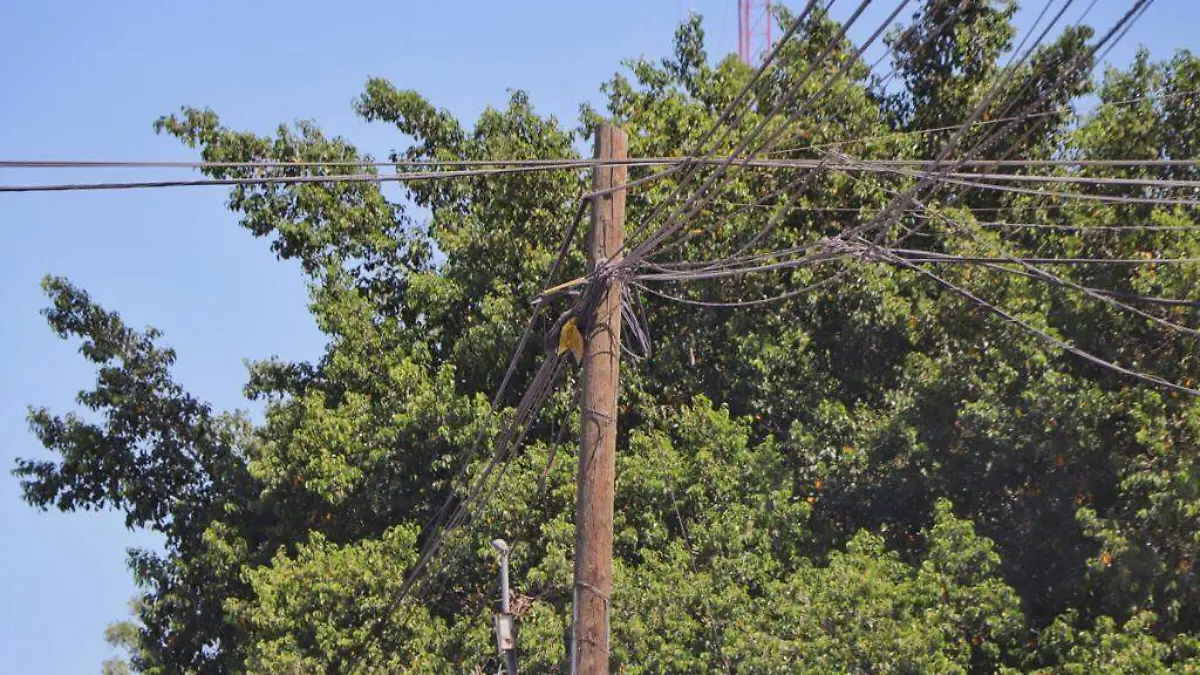 arboles cables luz